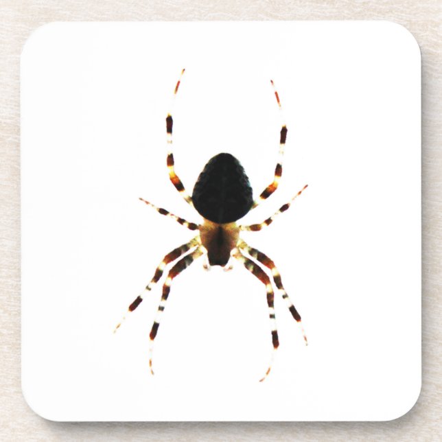Spider Coastercn Getränkeuntersetzer (Vorderseite)