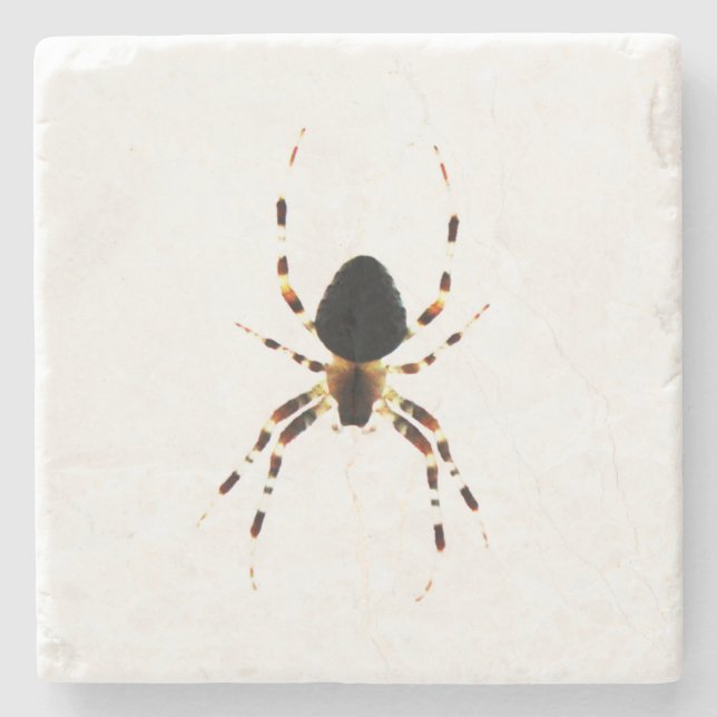 Spider Coera Steinuntersetzer (Vorderseite)