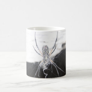 Spider Coffee Tasse