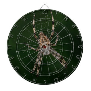 Spider Dartscheibe