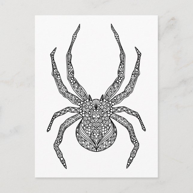 Spider Doodle Postkarte (Vorderseite)