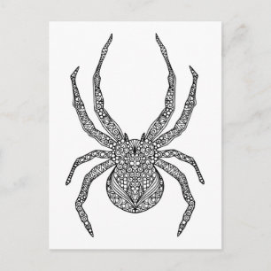 Spider Doodle Postkarte