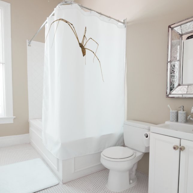 Spider Duschvorhang (Beispiel)