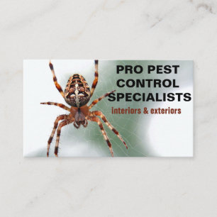 Spider Foto Pest Kontrolle Visitenkarte