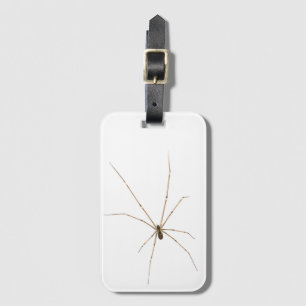 Spider Gepäckanhänger