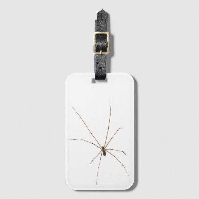 Spider Gepäckanhänger (Vorderseite Vertikal)