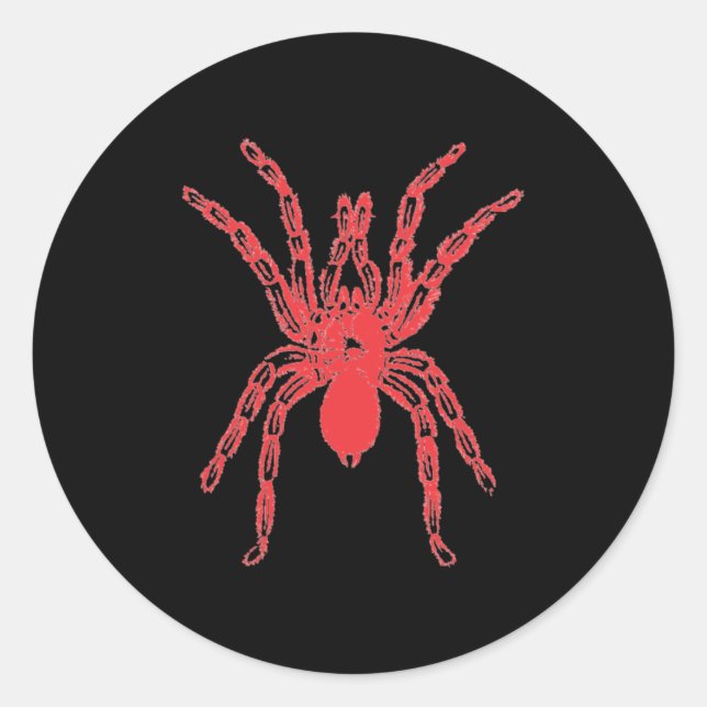 Spider Graphic Design Classic Round Sticker (Vorderseite)