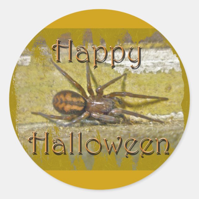 Spider Halloween Holiday Coordinated Items Runder Aufkleber (Vorderseite)