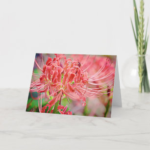 Spider Lily Scripture Card Ecclesiastes 7:13 Karte