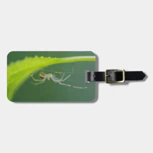 Spider Luggage Tag Gepäckanhänger
