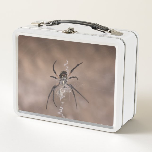 Spider Lunch Box (Vorderseite)