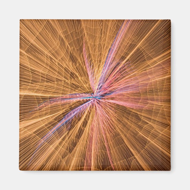 Spider Magnet (Vorne)