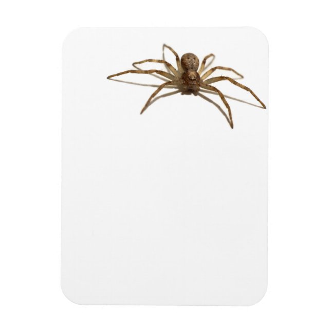 Spider Magnet (Vertikal)