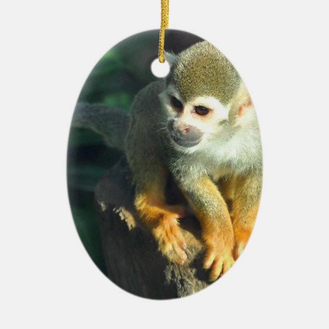 Spider Monkey Keramikornament (Vorne)