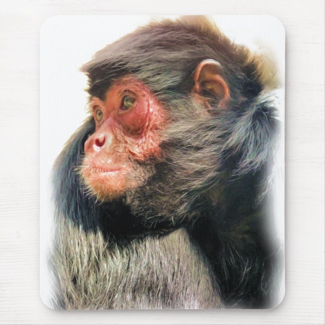SPIDER MONKEY MOUSEPAD (Vorne)