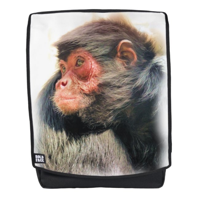 SPIDER MONKEY RUCKSACK (Vorderseite)