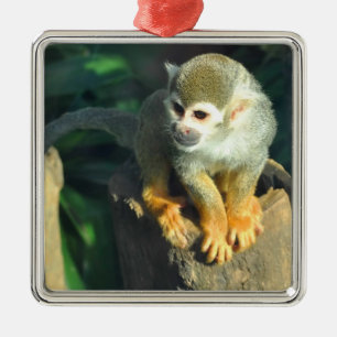 Spider Monkey Silbernes Ornament