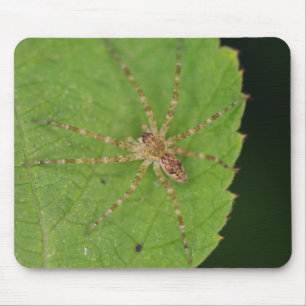 Spider Mouse Pad Mousepad