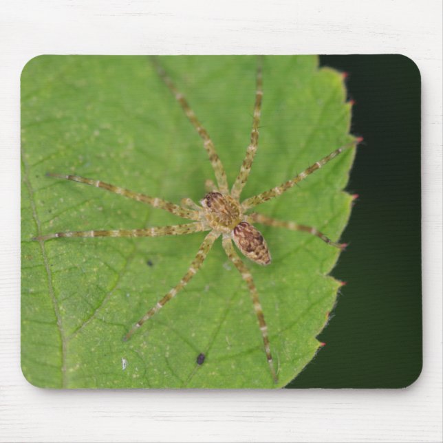 Spider Mouse Pad Mousepad (Vorne)