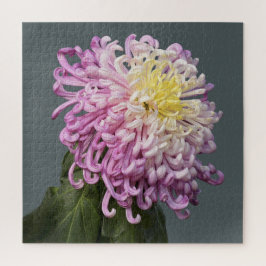 Spider Mum Puzzle