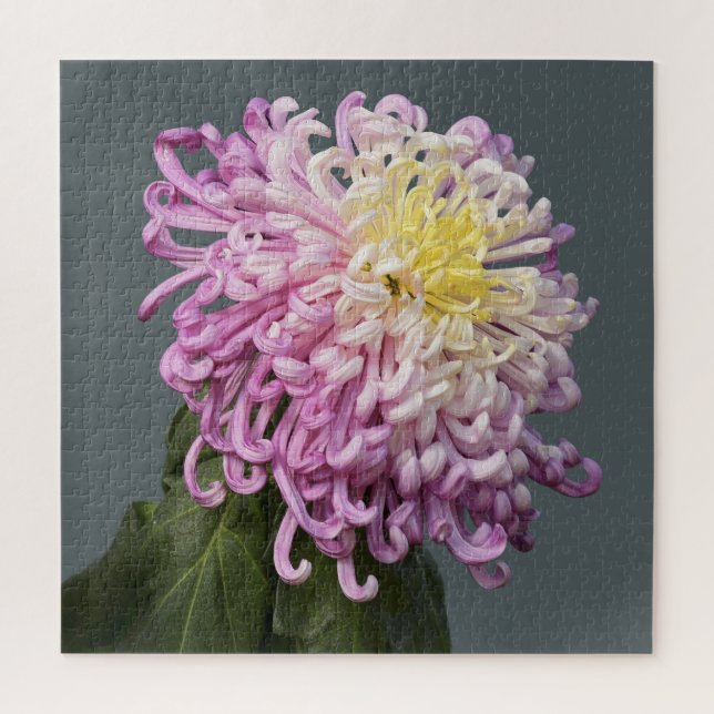 Spider Mum Puzzle (Vertikal)