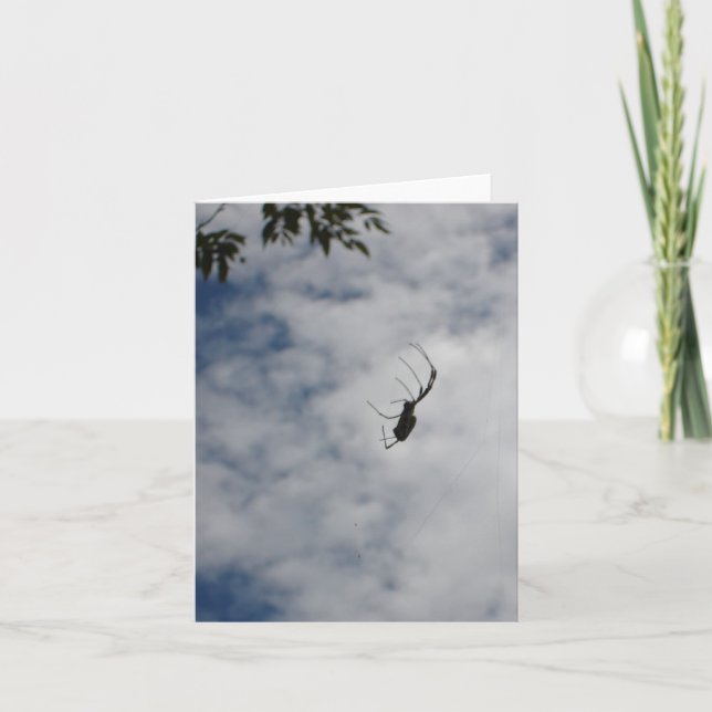 Spider notecard karte (Vorderseite)
