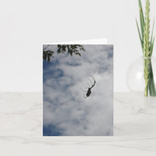 Spider notecard karte