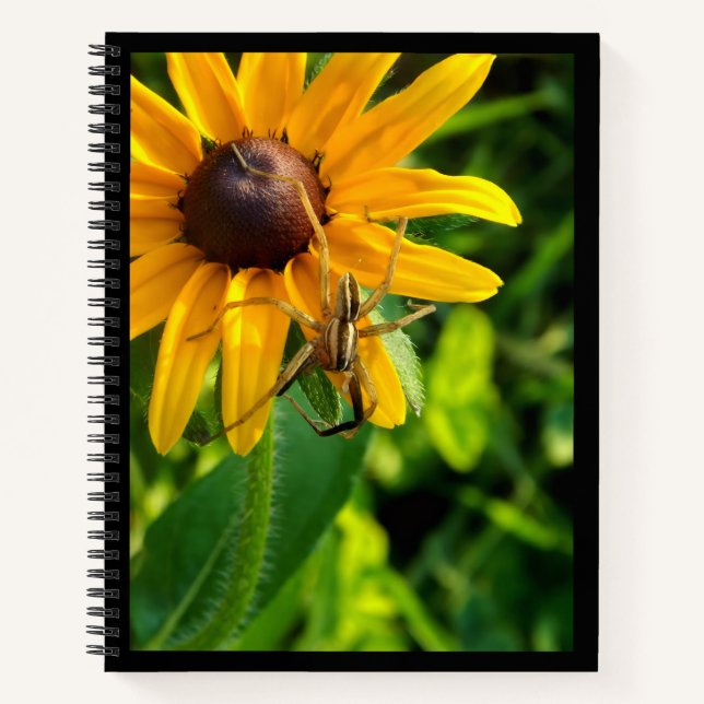 Spider on Sunflower 8.5 x 11 Spiral Notebook Notizbuch (Vorderseite)