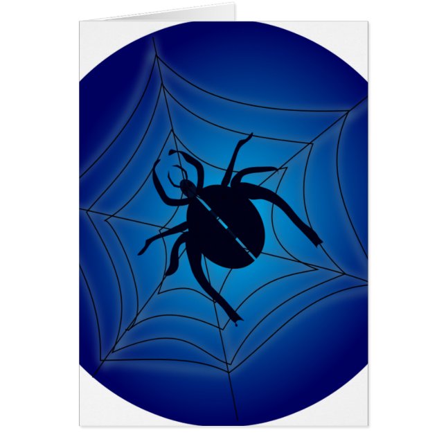 Spider on web (Vorne)