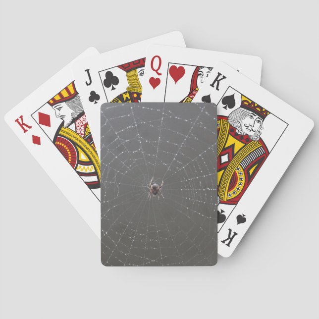 Spider Playing Cards Spielkarten (Rückseite)
