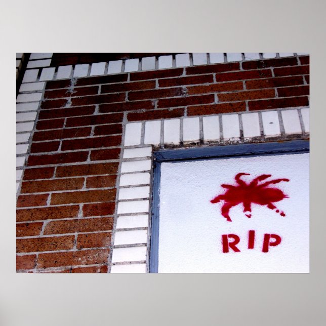 Spider Poster (Vorne)