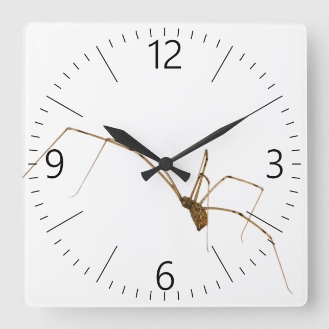 Spider Quadratische Wanduhr (Vorderseite)