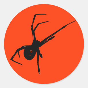 Spider Runder Aufkleber