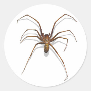 Spider Runder Aufkleber