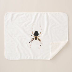 Spider sbcn sherpadecke