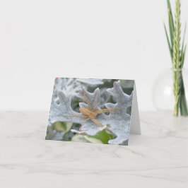 Spider sur la carte de note Dusty Miller