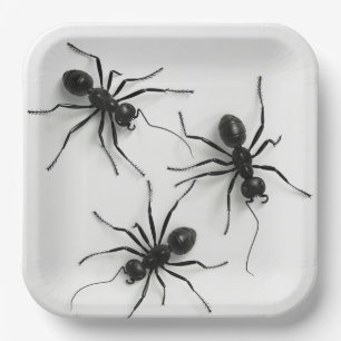 Spider-Teller 4-8 Pappteller