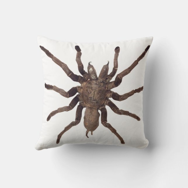 Spider Throw Kissen (Rückseite)