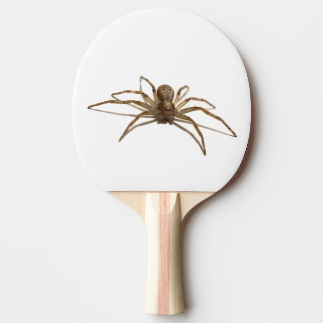 Spider Tischtennis Schläger (Vorderseite)