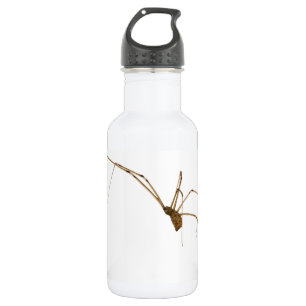 Spider Trinkflasche