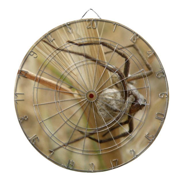 Spider und Egg Sac Dart Board Dartscheibe (vorne)