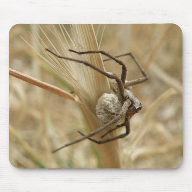 Spider und Egg Sac Mousepad (Vorne)