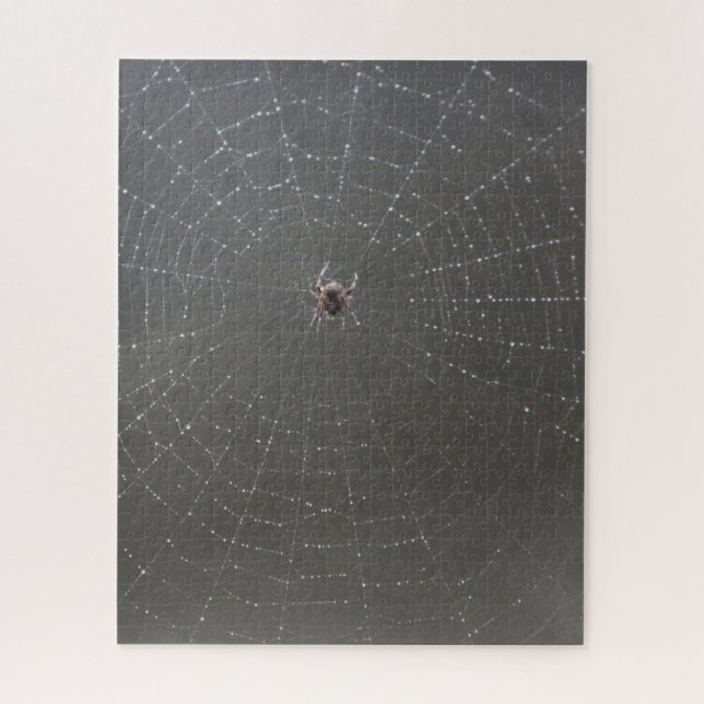 Spider Web Jigsaw Puzzle (Vertikal)