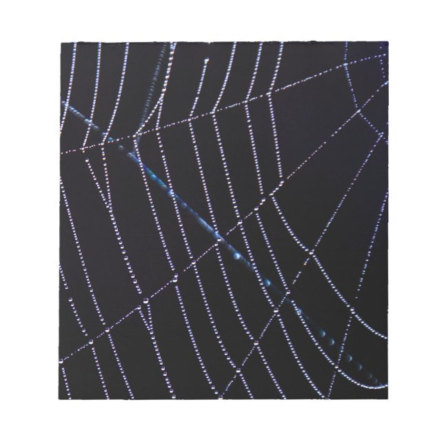 Spider Web Notizblock (Vorderseite)