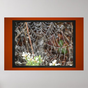 Spider Web Poster