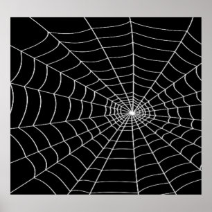 Spider Web Poster