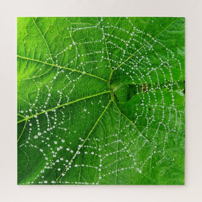 Spider Web & Rain Droplets auf grünem Leaf entworf (Vertikal)
