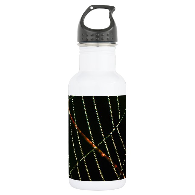 Spider Web Trinkflasche (Vorderseite)