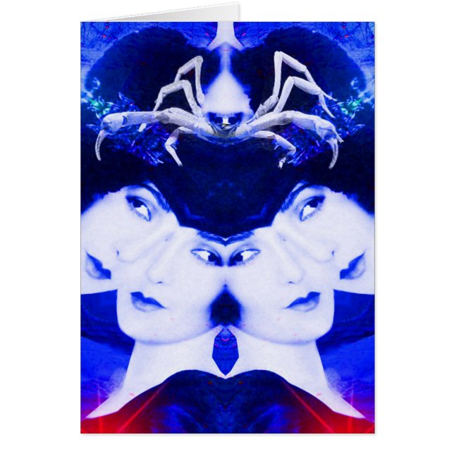 Spiders Web (Vorne)