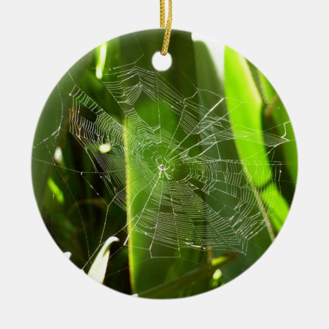 Spiderweb in tropischen Blätter Natur Keramik Ornament (Vorne)